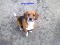 /album/rodicia/otec-benny-2-jpg/